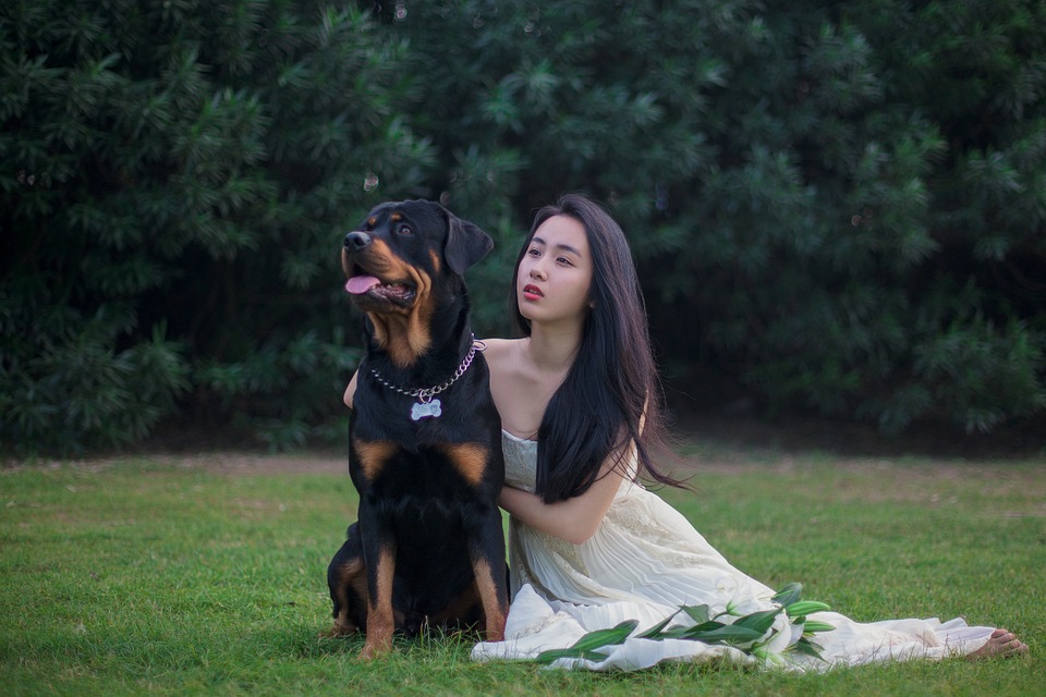 picnoi japanese lady and dog
